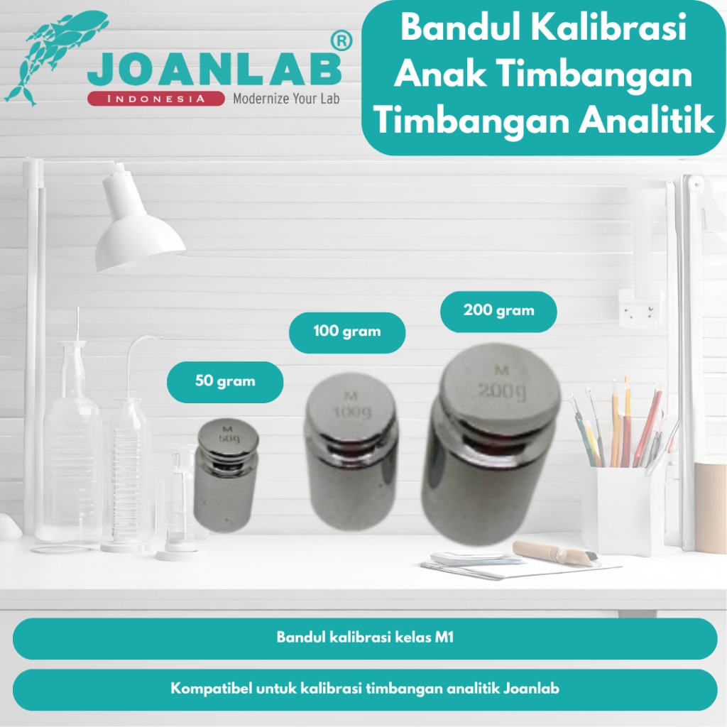 Bandul Beban Kalibrasi Anak Timbangan Analitik JOANLAB 200 gram
